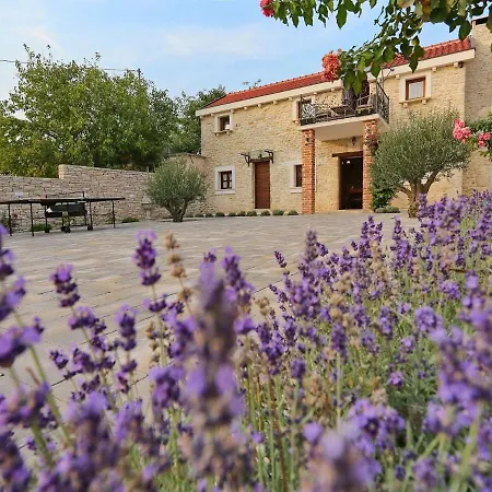 Spacious In With Private Swimming Pool Villa Prkos
